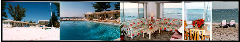 Beach front sunset dining, gulfview and waterfront Resort, Hotel rooms on Anna Maria Island Florida