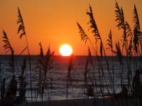 Anna Maria Island, Holmes Beach, Florida July Beach Pictures
