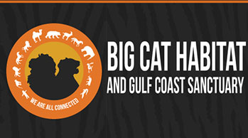 big cat sanctuary logo