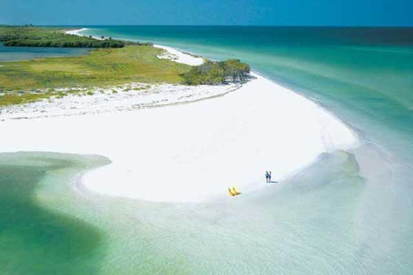 Visit Caladesi island for the day