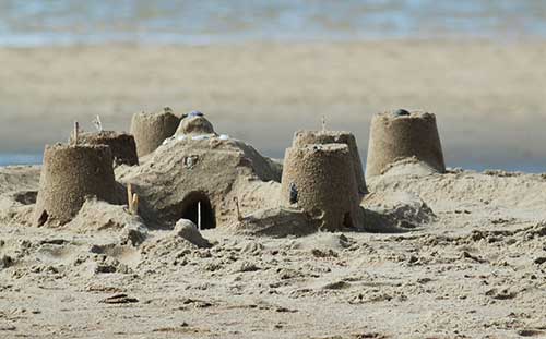 sand castles on the beach