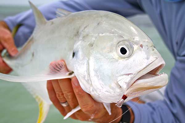 holding a fish caught in florida