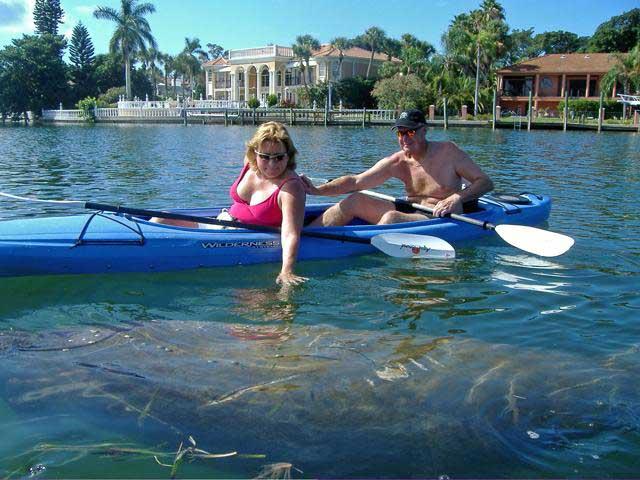 Couple enjoying Kayak Tour sees a manatee