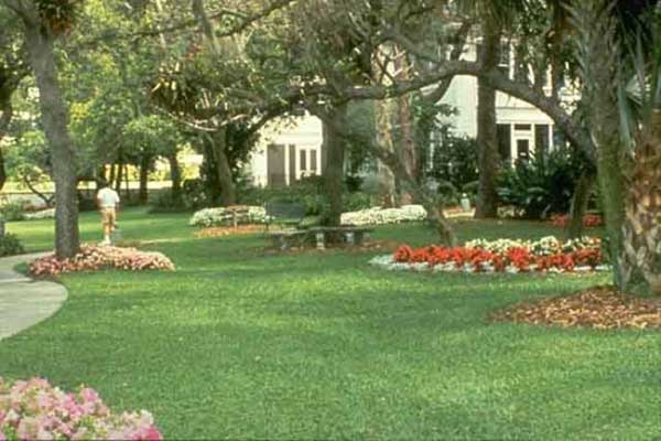 mary selby gardens in sarasota