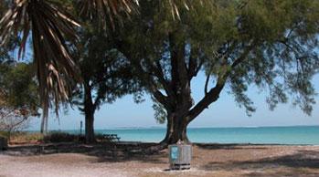 Bayfront Park on AMI