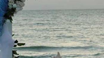 Beach wedding arch on Anna Maria Island at White Sands Beach Resort