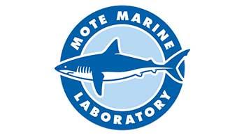 logo foro mote marine