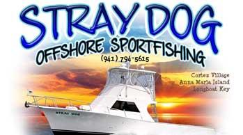 captain-scott-stray-dog-charter-logo